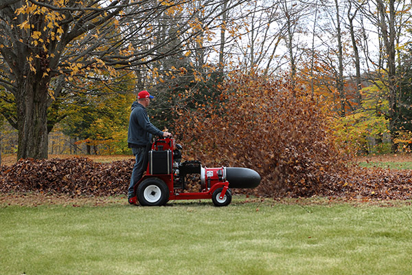 Blitz blower clearing leaves in a park