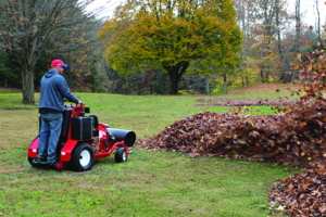 SB-40 Blitz Blowing Leaves