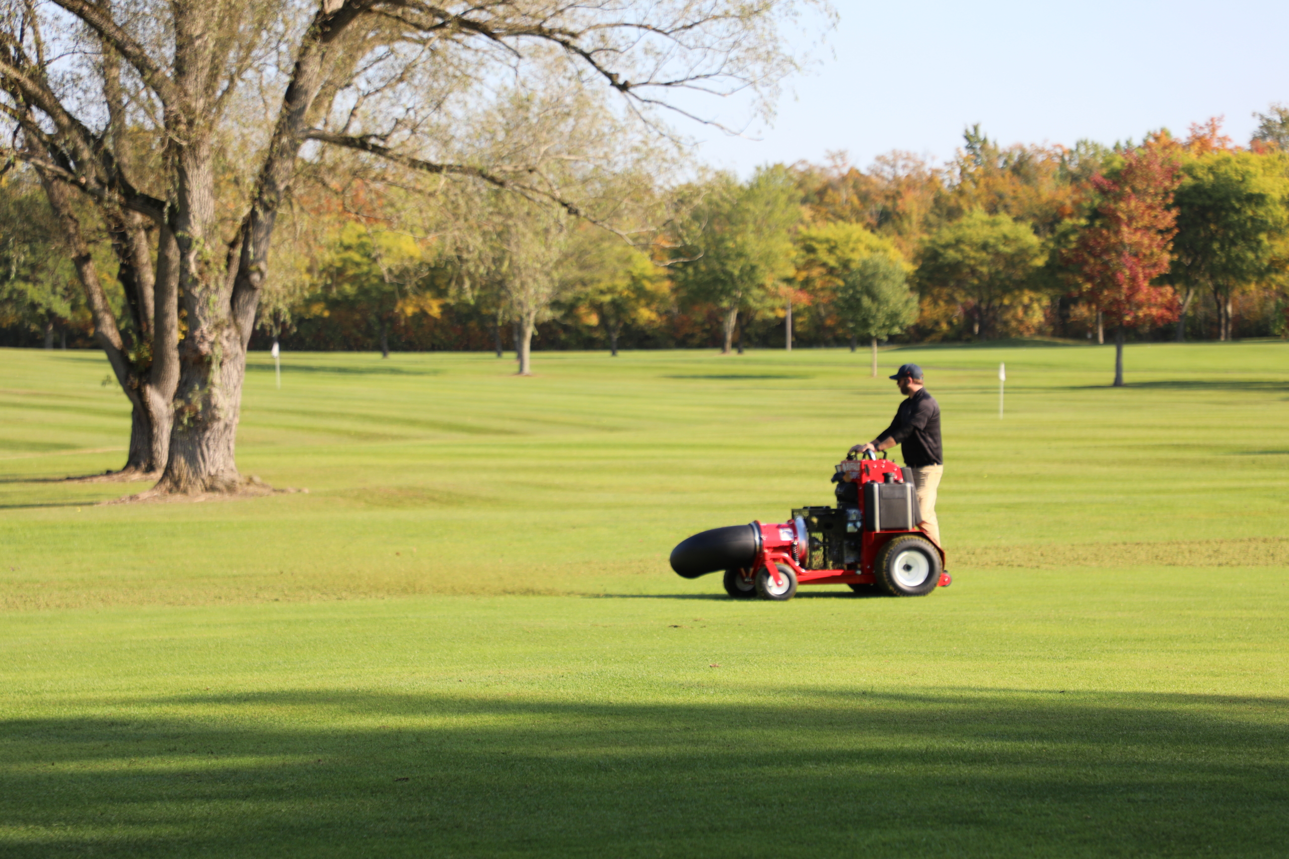 Buffalo Turbine Blitz Blower